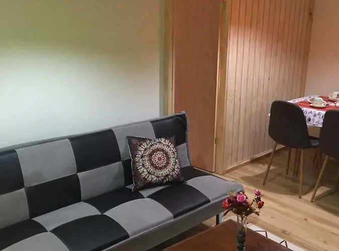 Departamento Completo 41 Mts2 -2 Habs Y 1 Futon - Centro Tome - 5 Personas - Edificio Don Francisco Max
